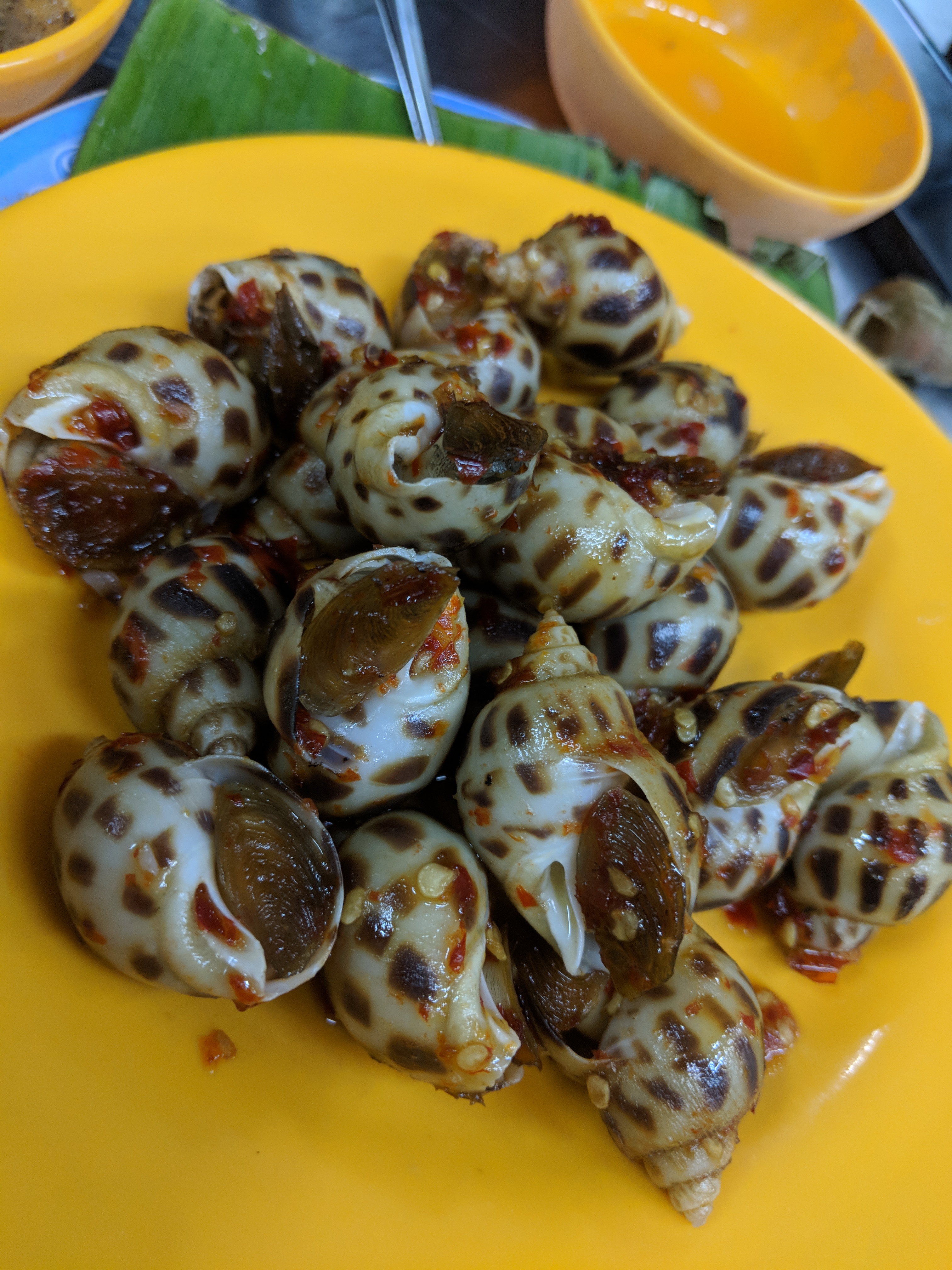 Maker:L,Date:2017-8-24,Ver:5,Lens:Kan03,Act:Kan02,E-Y